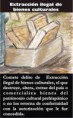 DELITOS CONTRA EL PATRIMONIO CULTURAL